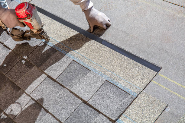 Best Roof Leak Repair  in Gardner, IL